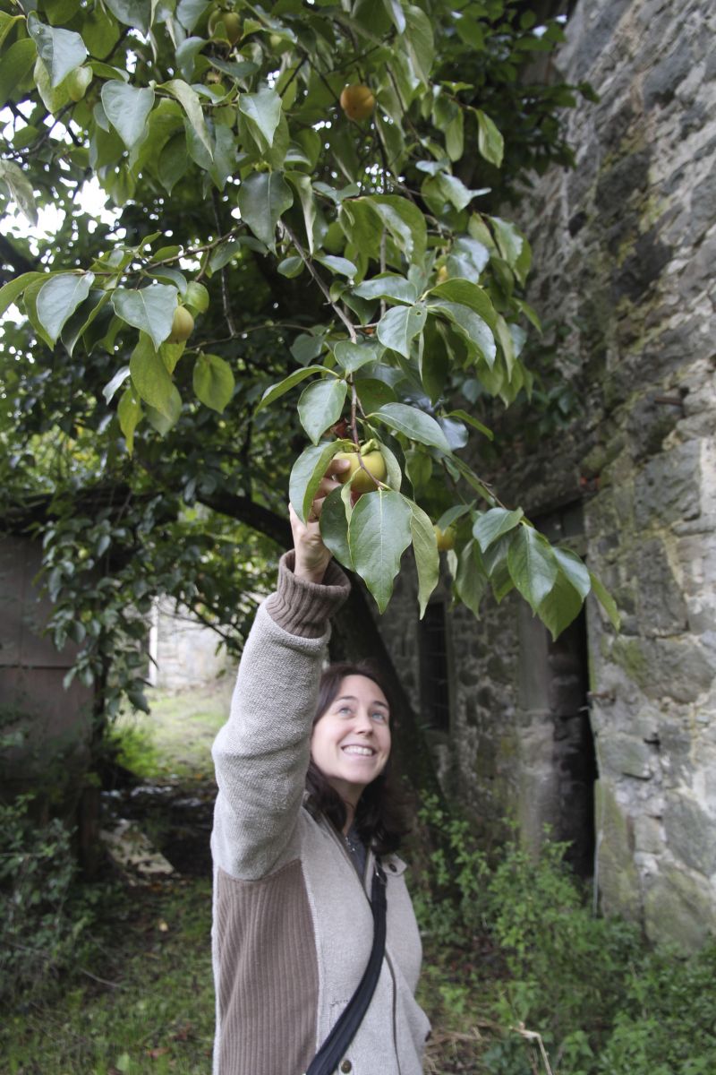 Jamie picking fruit.